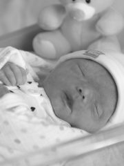 Pelletier, Bébé Élyann