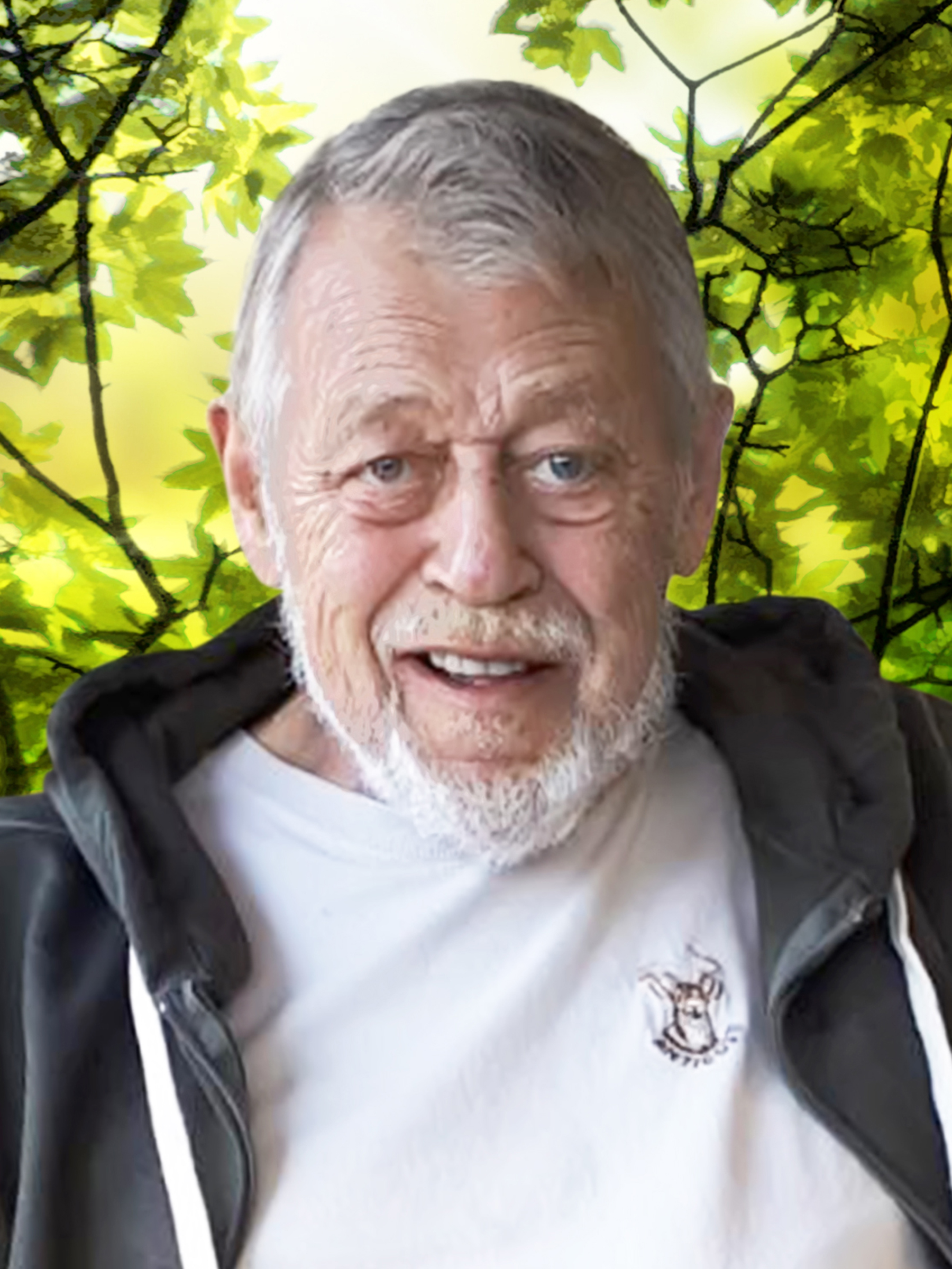 Bellavance, Jean-Michel