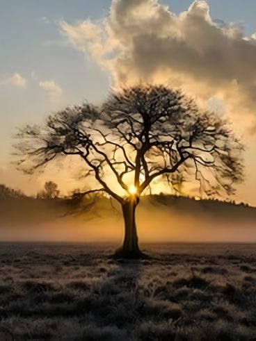 Ferron, Jean arbre de vie (site)