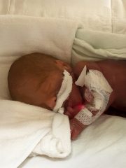 Trépanier, Tristan site 2