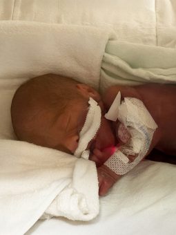 Trépanier, Tristan site 2